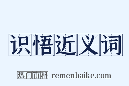 识悟近义词是什么意思的图片